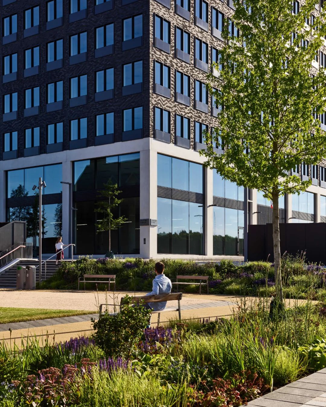 伦敦皇家阿尔伯特码头园区丨英国伦敦丨Farrells-54