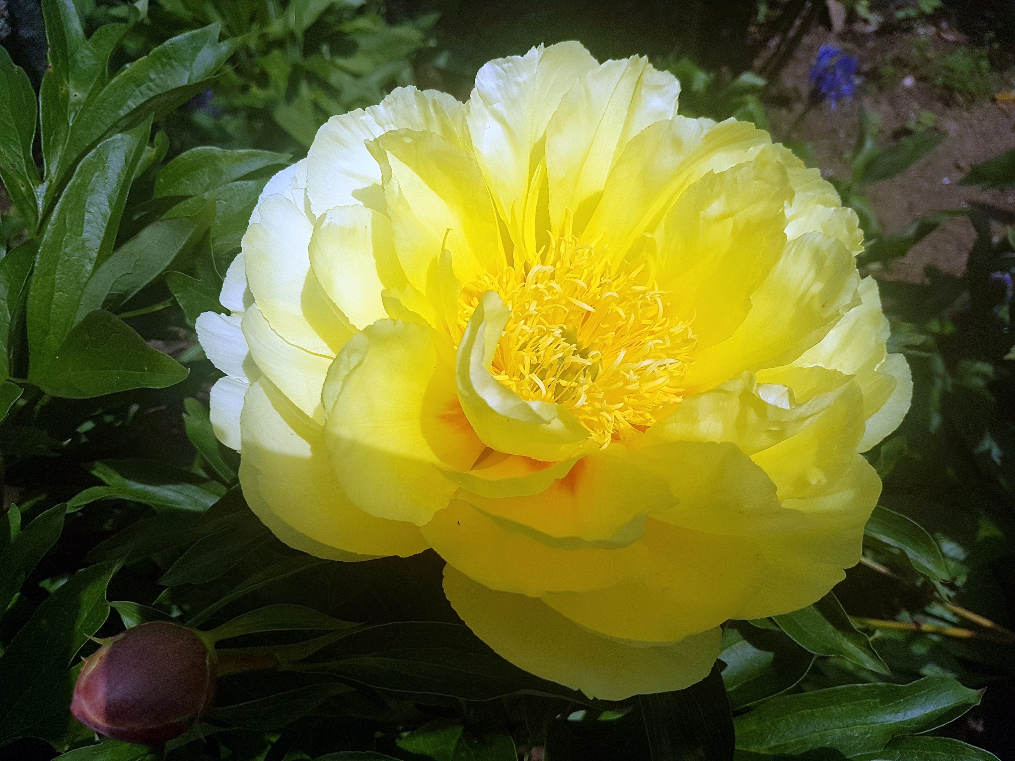 Cairnhill私人花园-8