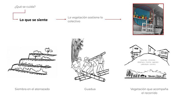 Resurgiendo en la grieta-9