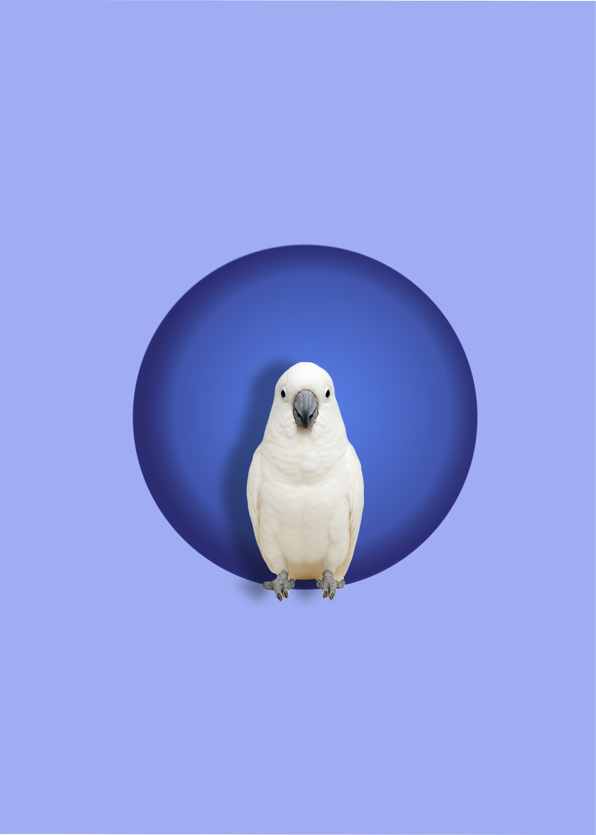 心灵回响：康复中心丨Anna Potoyan-35