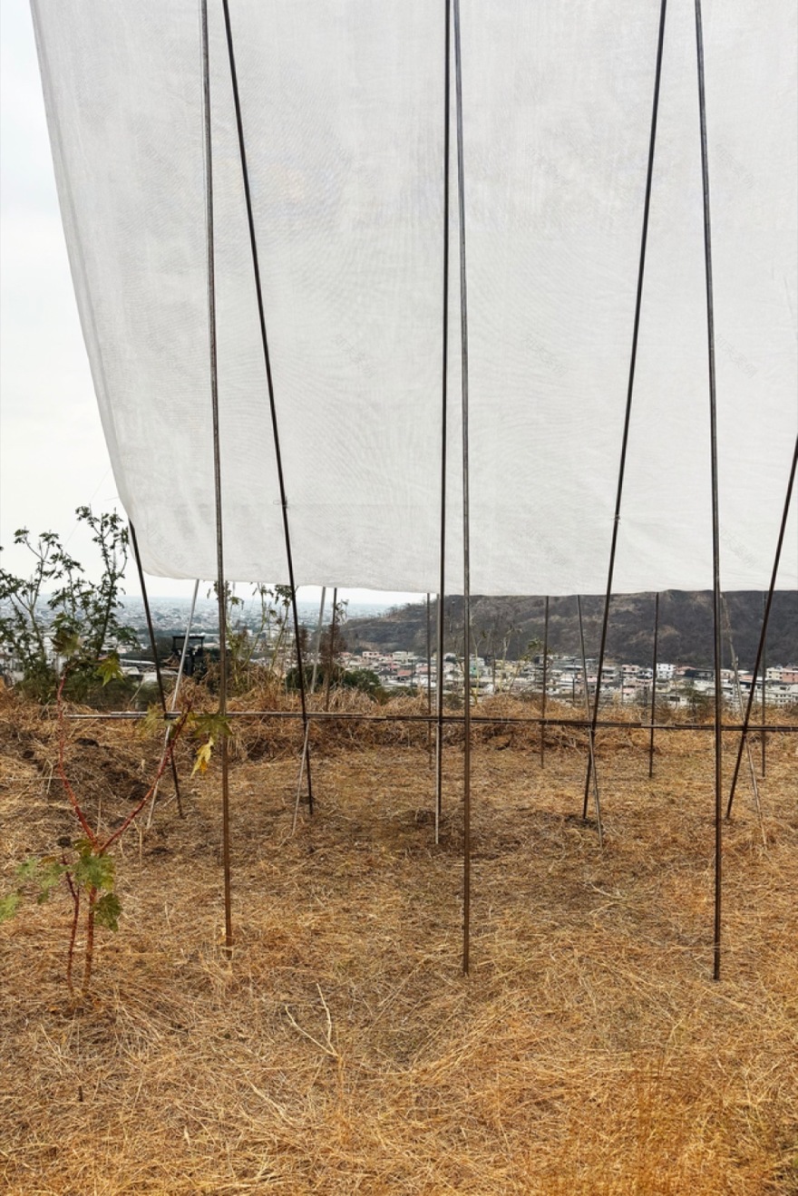 地平线展馆丨厄瓜多尔丨Eletres Studio-39