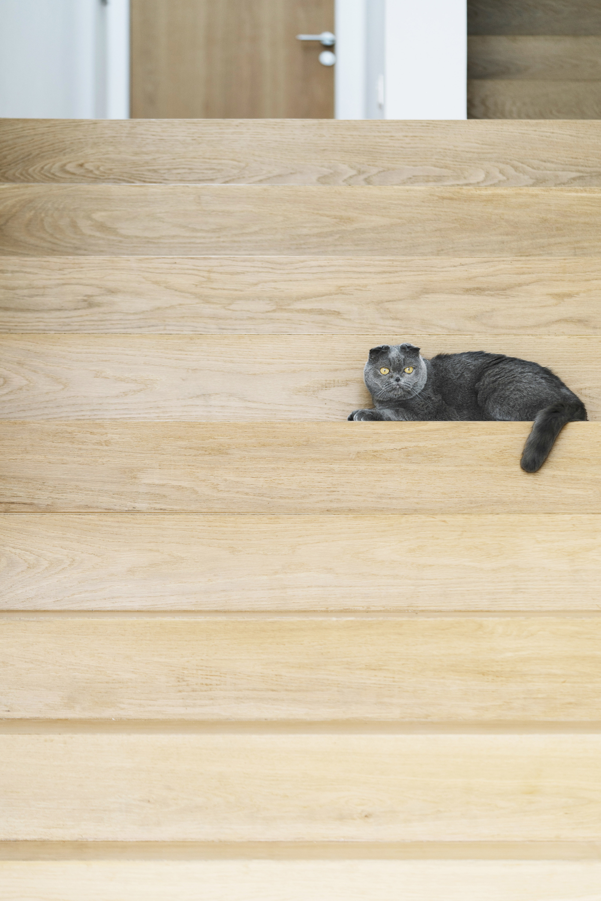 Assembled House / Park + Associates-25