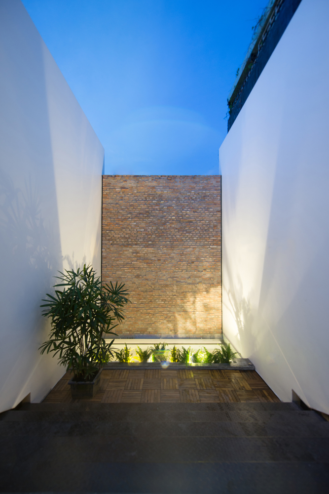 Backyard House  AD+studio-69