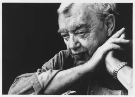 现代主义建筑的语言迷思-32