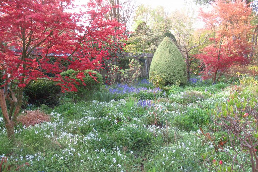 Jardin Botanique de La Petite Rochelle (61)-6
