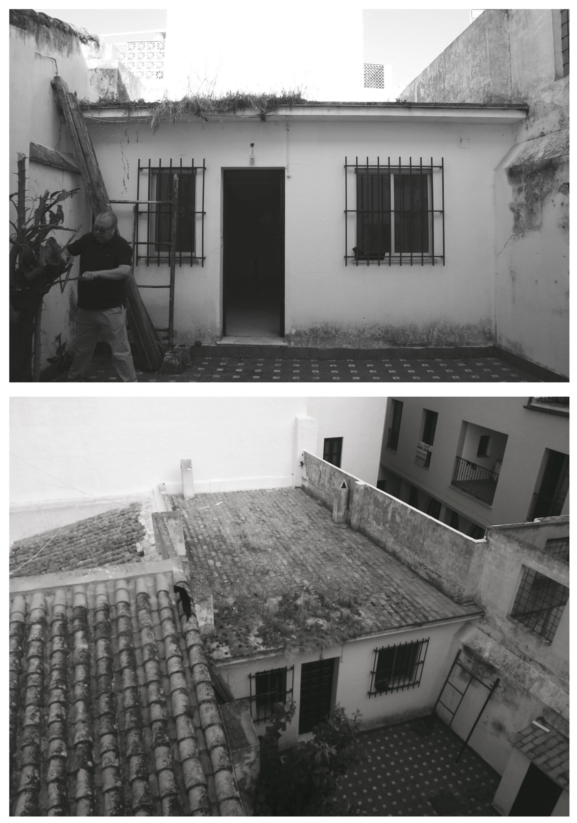 英伦作家的小城秘境 · San Miguel de Jerez 的"后院"之家-22