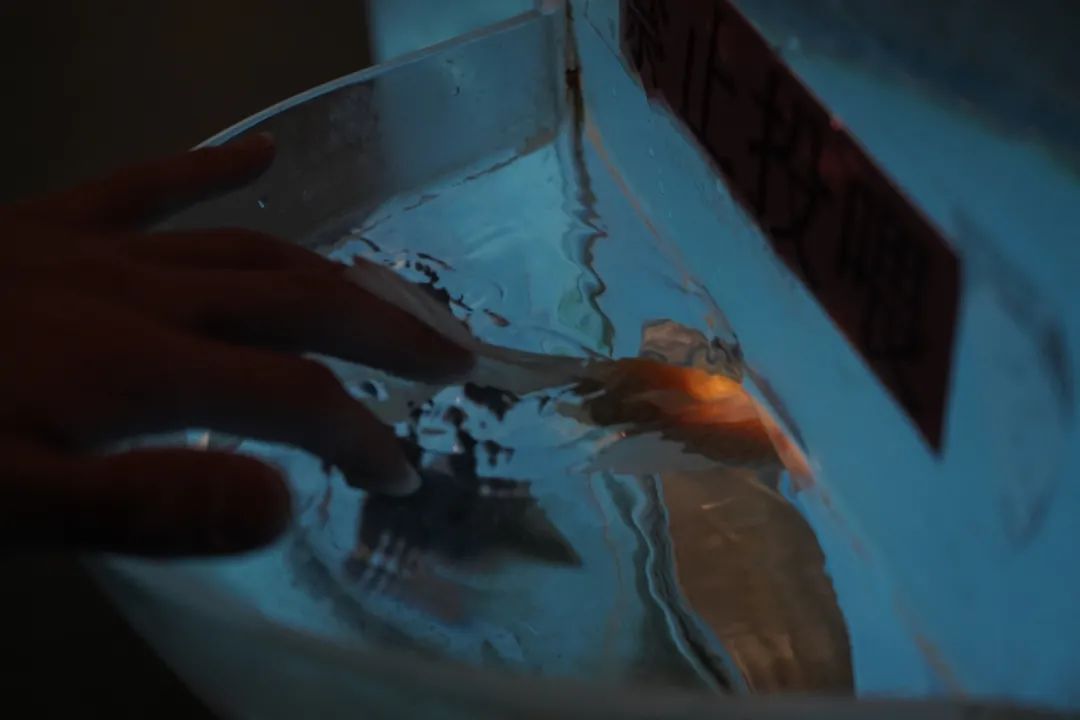 Yang Zhao  VISUAL ARTS-16