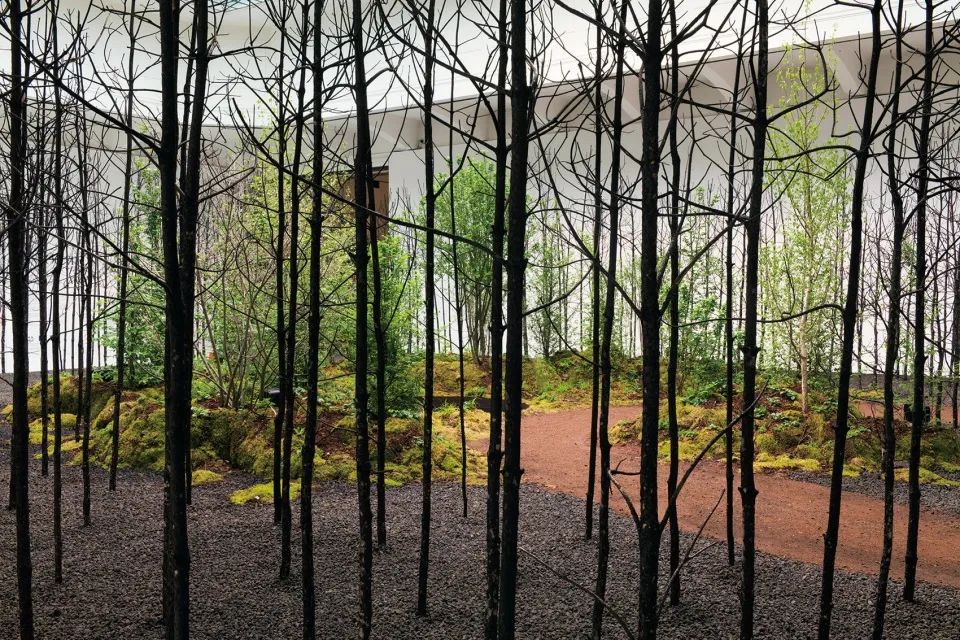 “呼唤希望”沉浸式装置丨奥地利维也纳丨Superflux 设计工作室-18