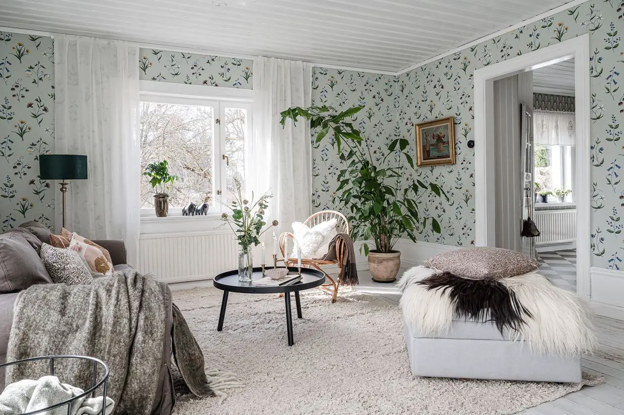 瑞典 19 世纪学校改造的田园之家-6