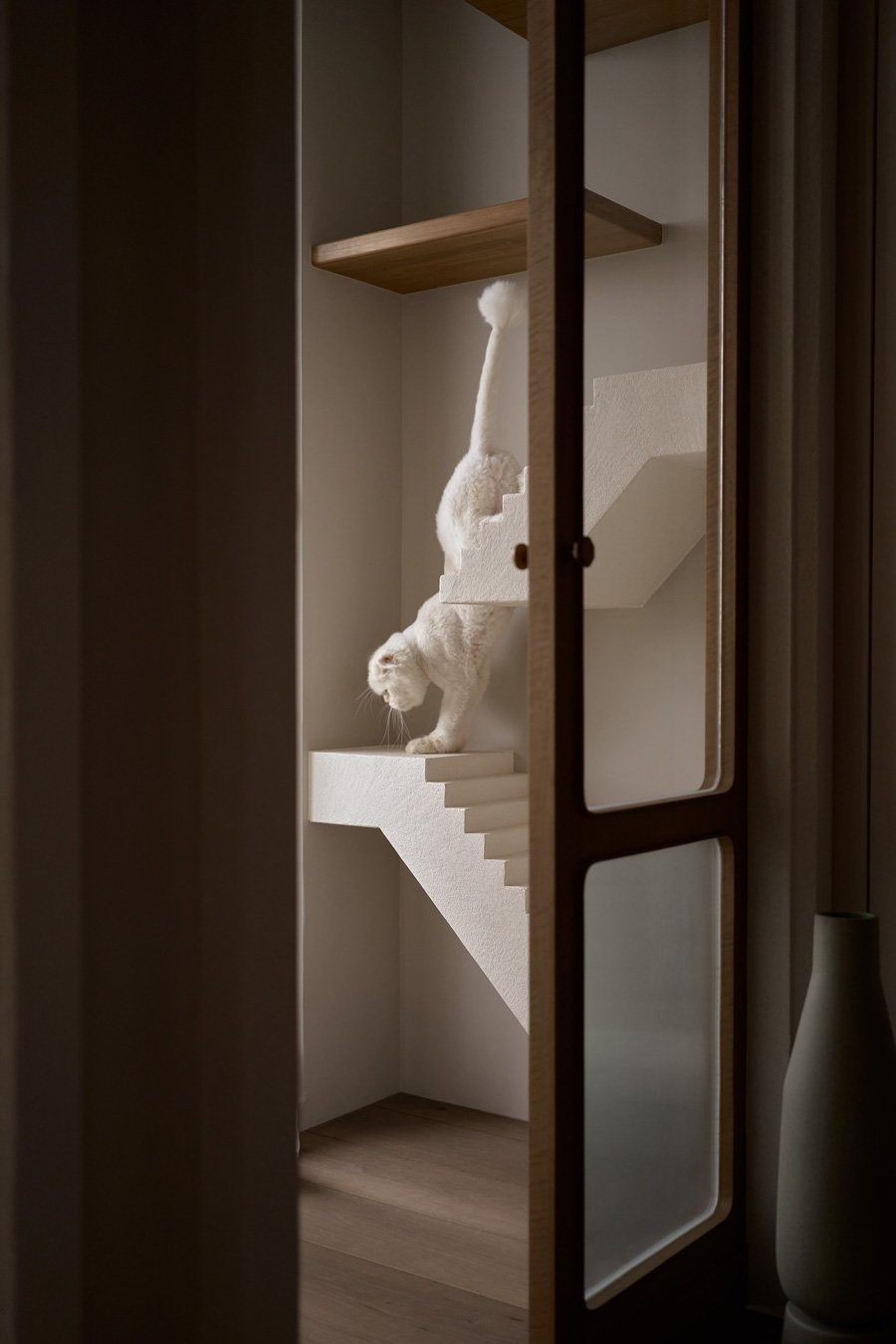 解构人猫共生的无界哲学-5