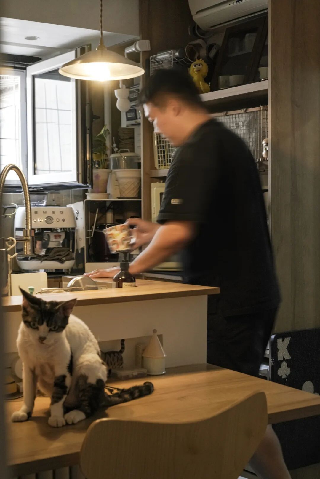 44㎡的治愈宇宙：一人四猫的共生乐园，小户型里的极致温柔-17