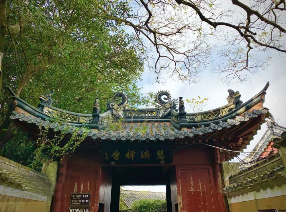 普陀山禅意之旅丨中国普陀丨KLID达观-69