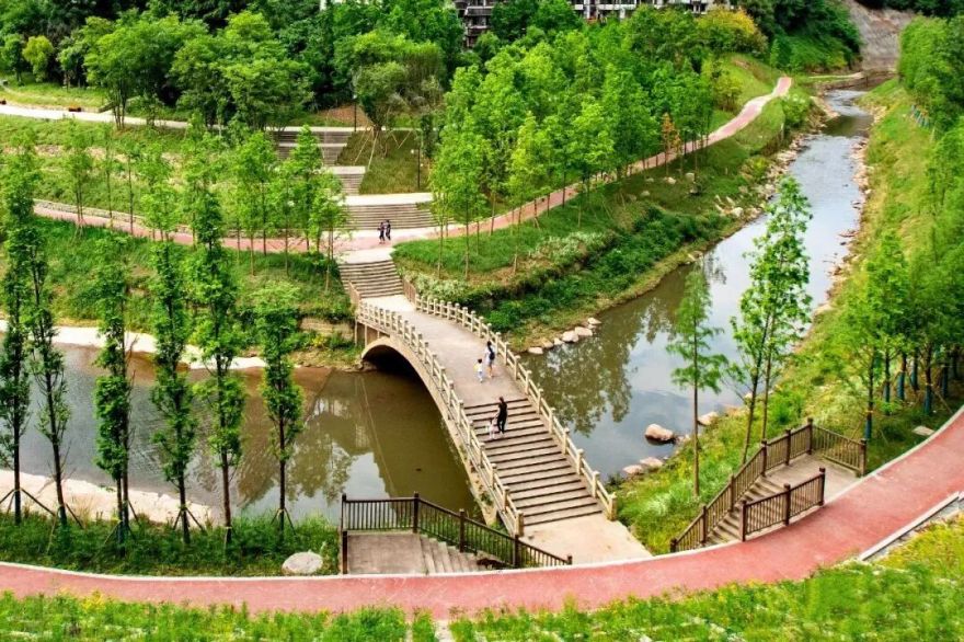 世界环境日①|守护绿水青山,市政院以“清水绿岸”治理提升项目书写生态答卷-39