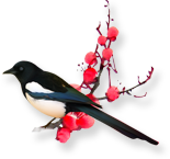 浪漫北欧风爱巢,秋千荡漾幸福生活-12