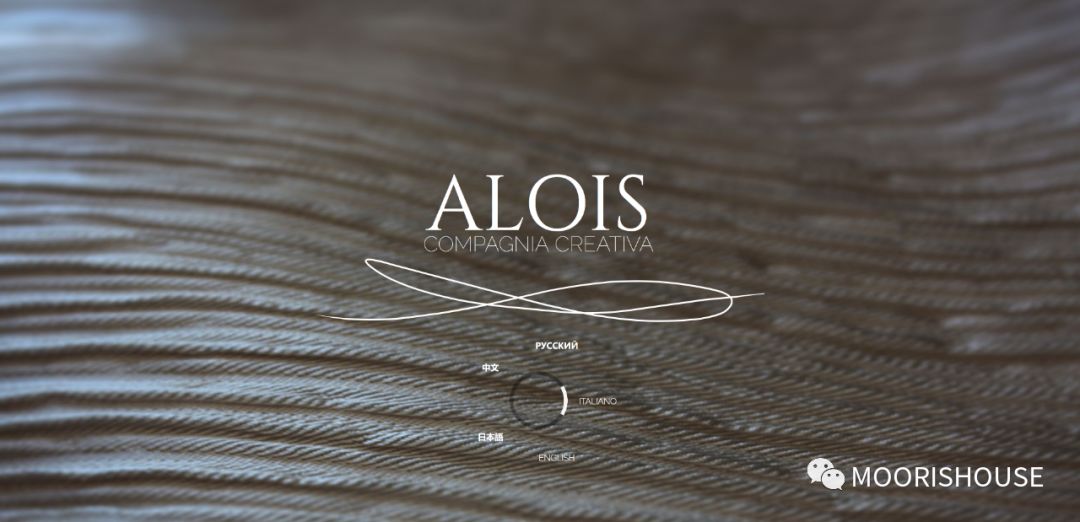 意大利 ALOIS 抱枕 | 家居装饰的艺术之作-34