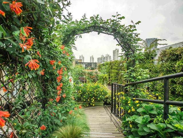 火遍魔都超700㎡网红花园，看过的人都被圈粉-93