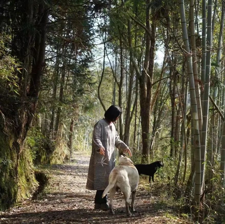 回声花园 · IT 夫妇的乡野生活丨中国黄山丨红子,小可夫妇-116