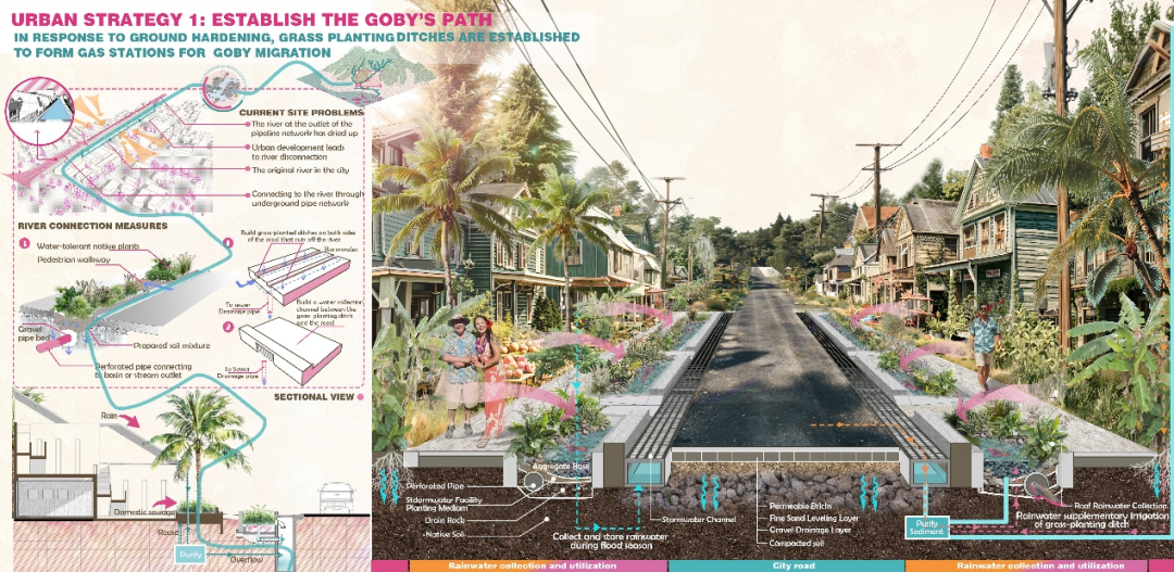 苏大风景园林研究生横扫2025ASLA三项大奖,6年11冠超越国际名校-127