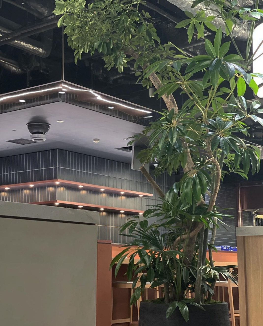 居酒屋餐厅kabeat，日本 - 日本料理 - 餐厅LOGO-VI空间设计-全球餐饮研究所-4