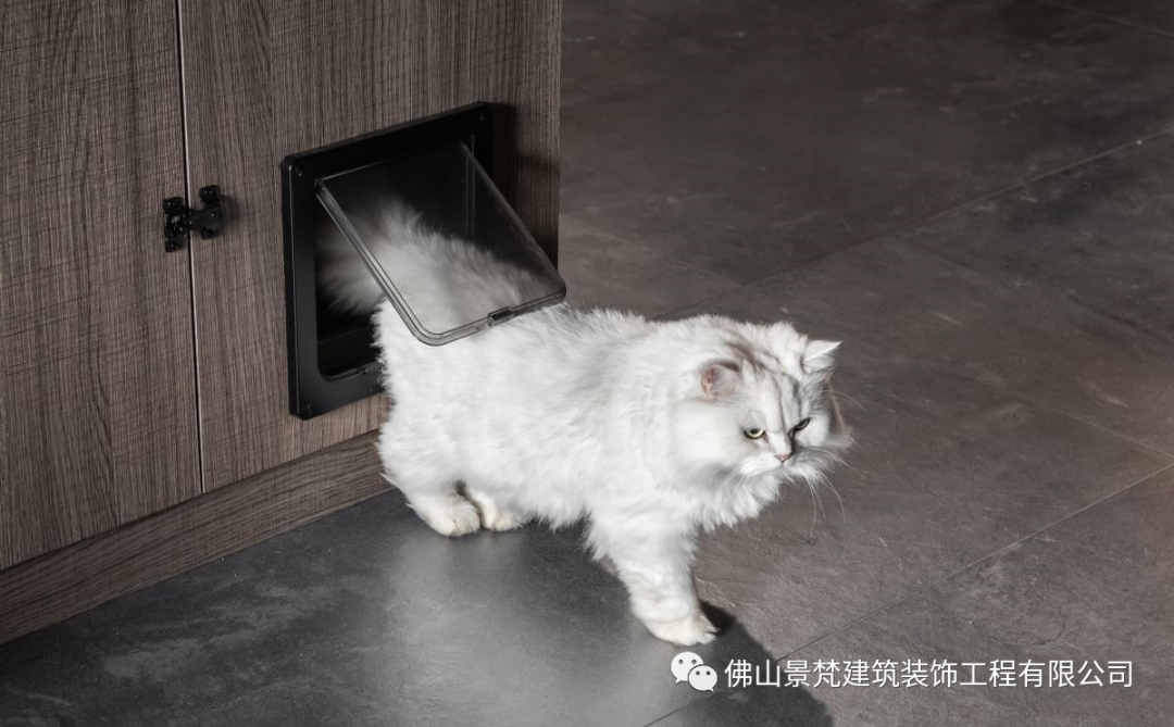 宠物家居设计指南丨中国佛山丨景梵-7