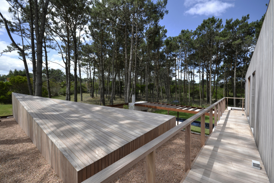 乌拉圭 Pinar del Faro 住宅-15