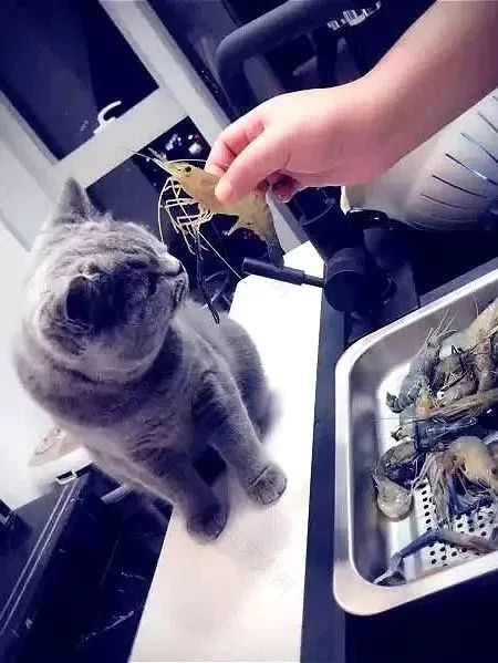 40㎡Loft单身豪宅-41