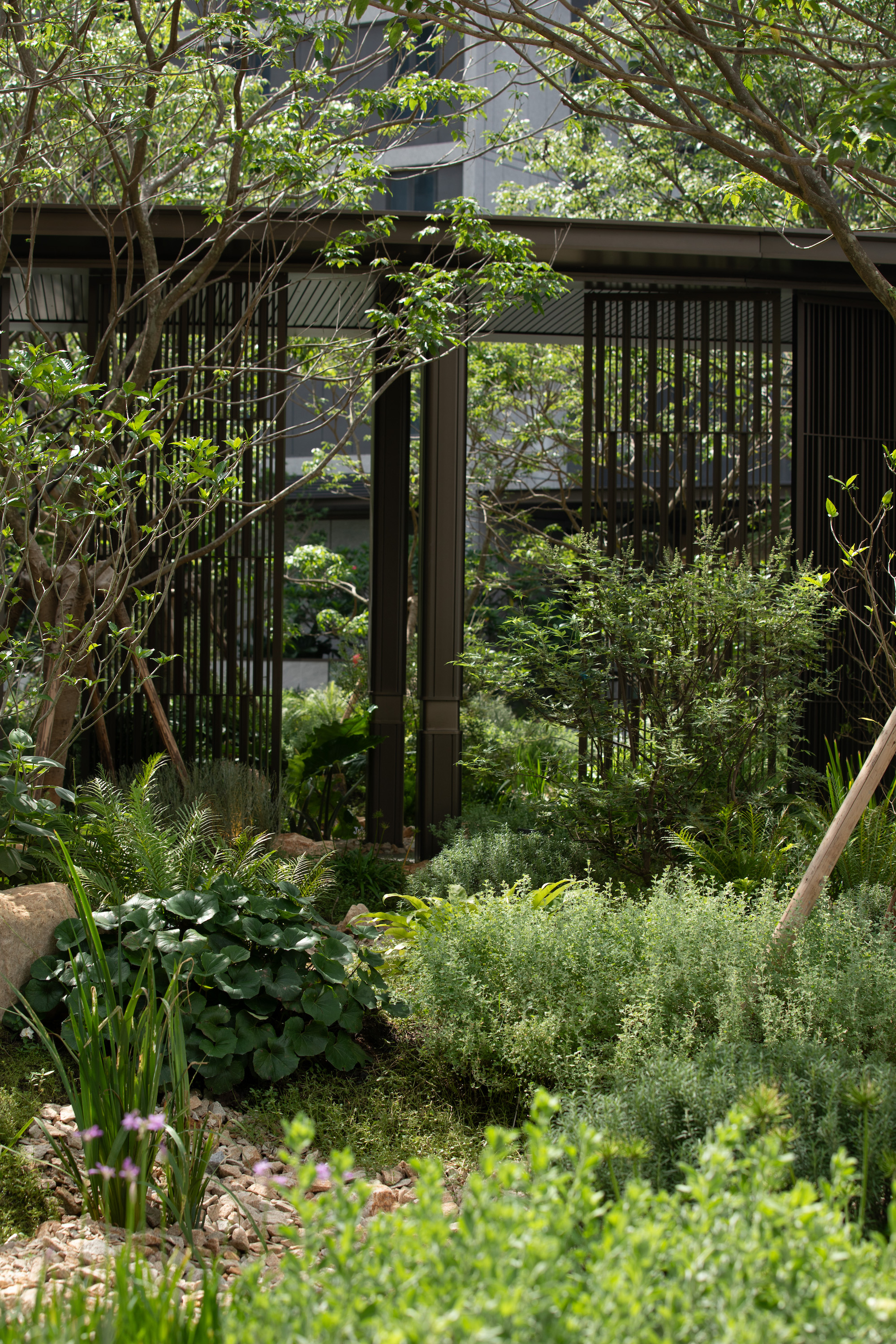 绿城滨江·潮闻东方丨中国江门丨广亩景观-4