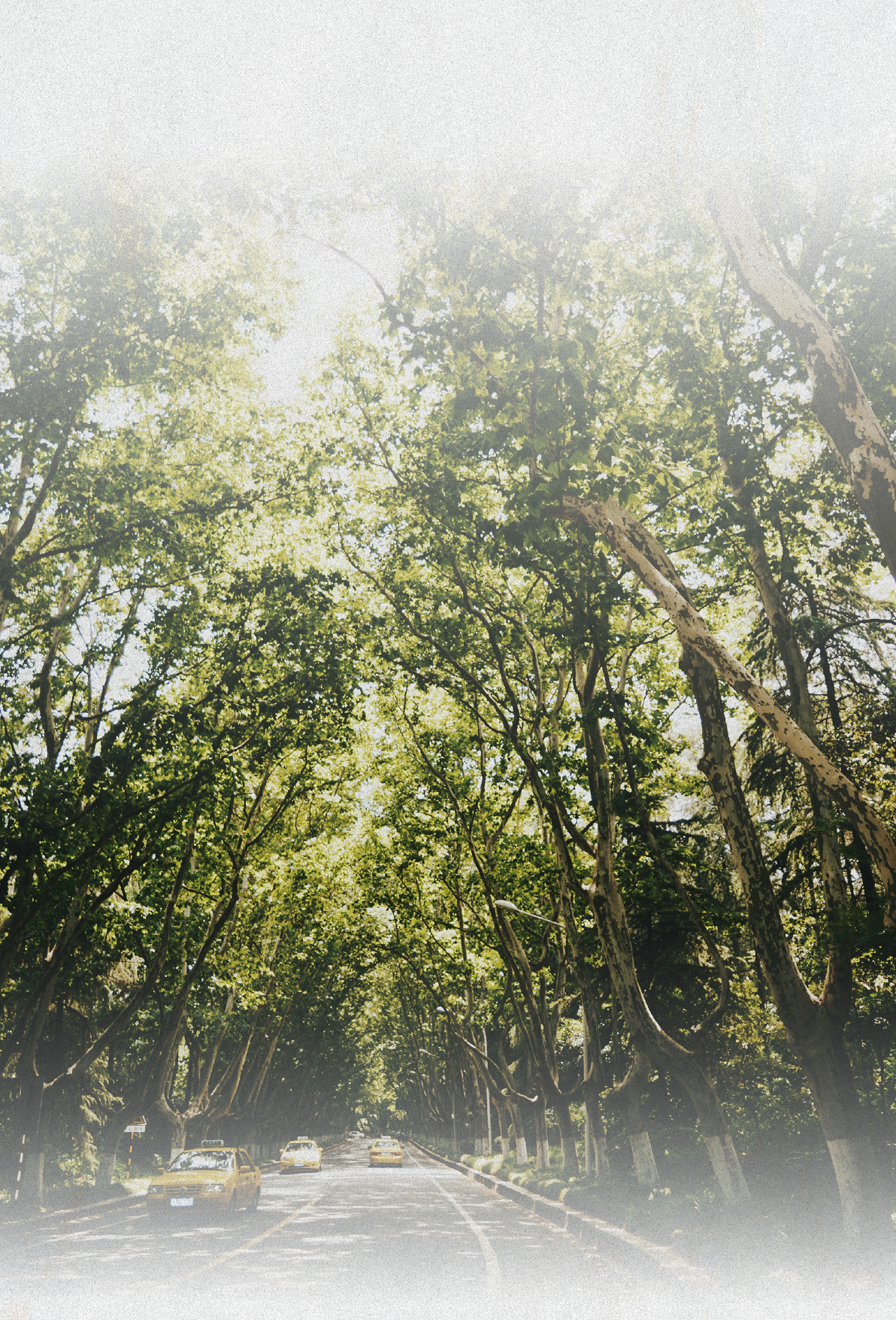 南京明怡美憬阁精选酒店丨中国南京丨ONE HOUSE DESIGN壹舍设计-25