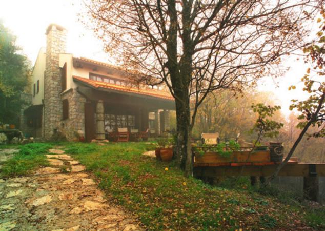 森林中心的石头房子设计-4