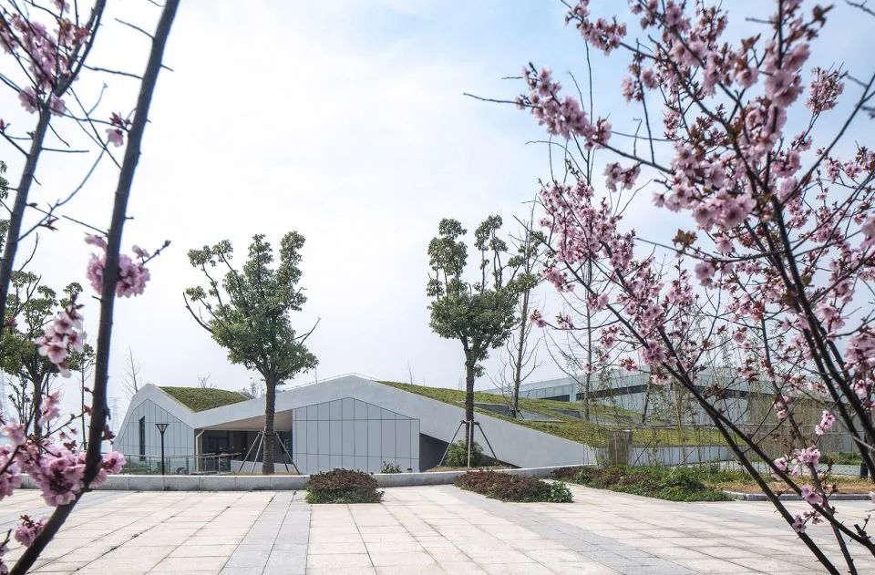 苏州东太湖防汛仓库获德国设计奖 | 融入自然的绿色建筑-23