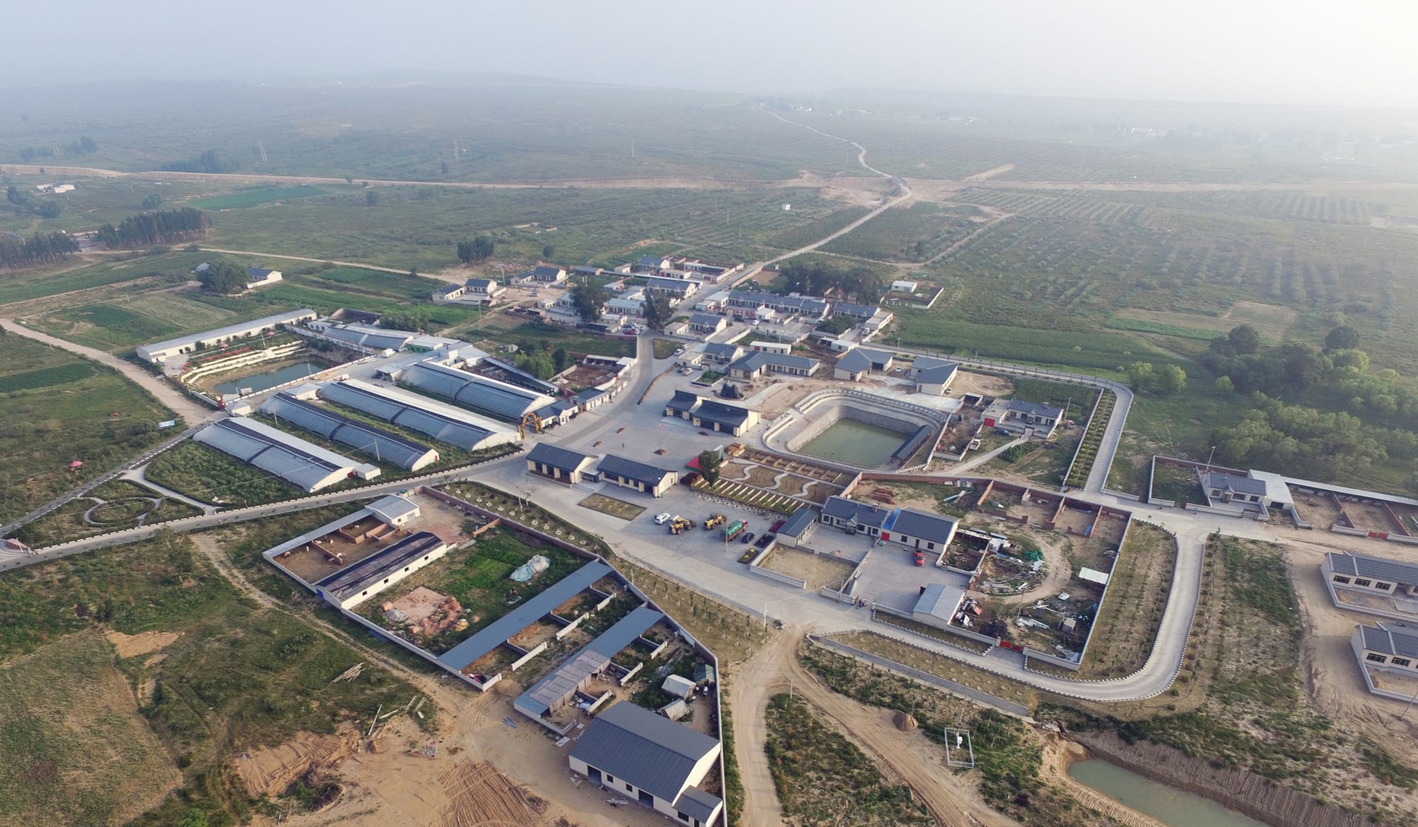 鄂尔多斯市折家梁村乡村建设丨蒙古丨CADG-11