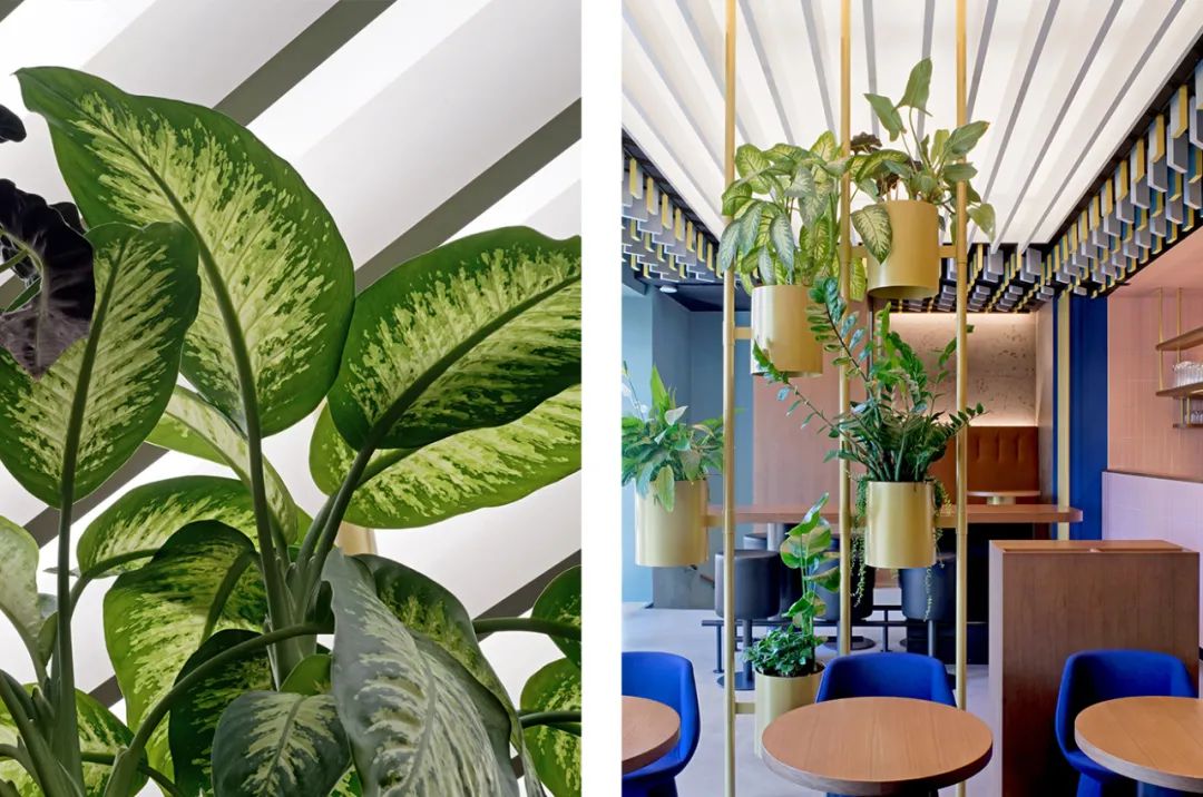 慕尼黑“新时代”咖啡吧丨德国慕尼黑丨IFG-9