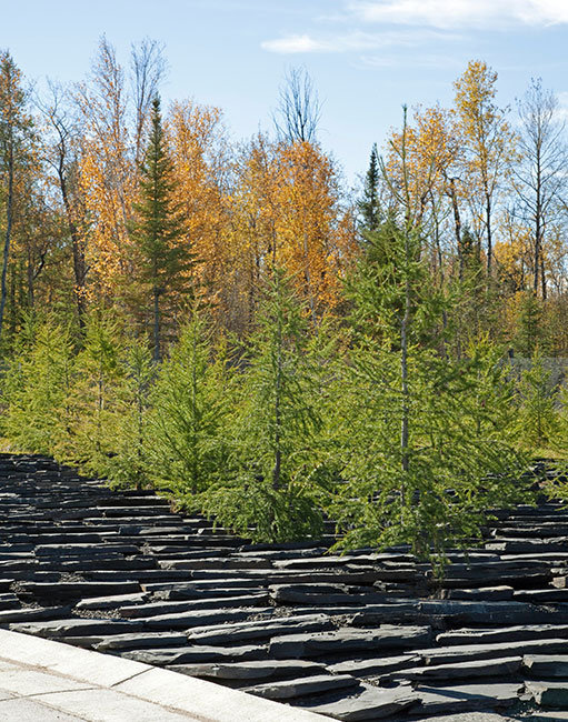 美国 Warroad 陆地港口入境景观设计-1
