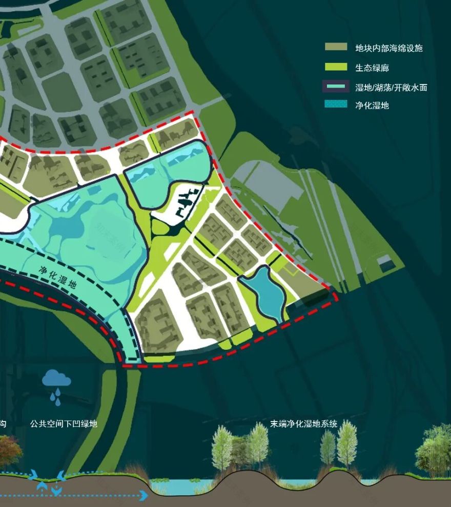 顺德鹭鸟湿地片区景观规划丨中国佛山丨AECOM-39