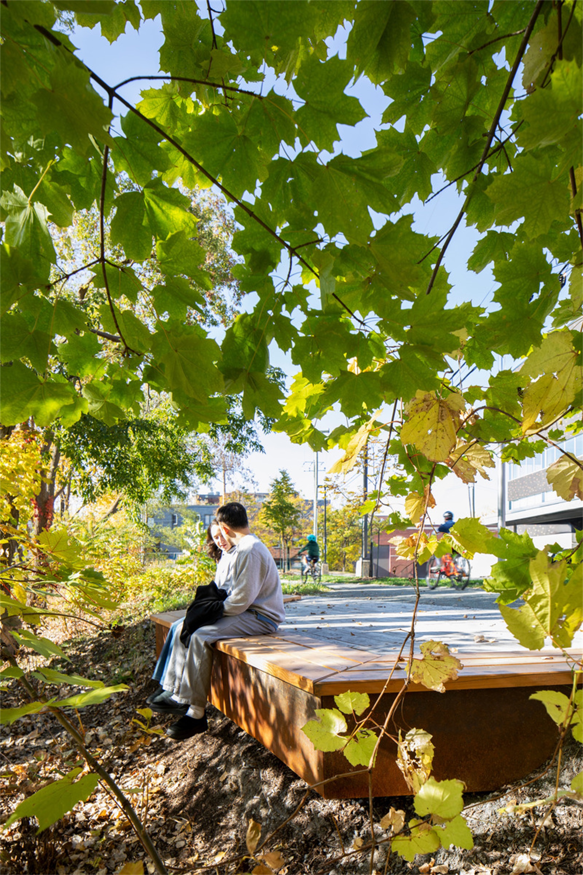 大猩猩公园丨加拿大蒙特利尔丨civiliti-30