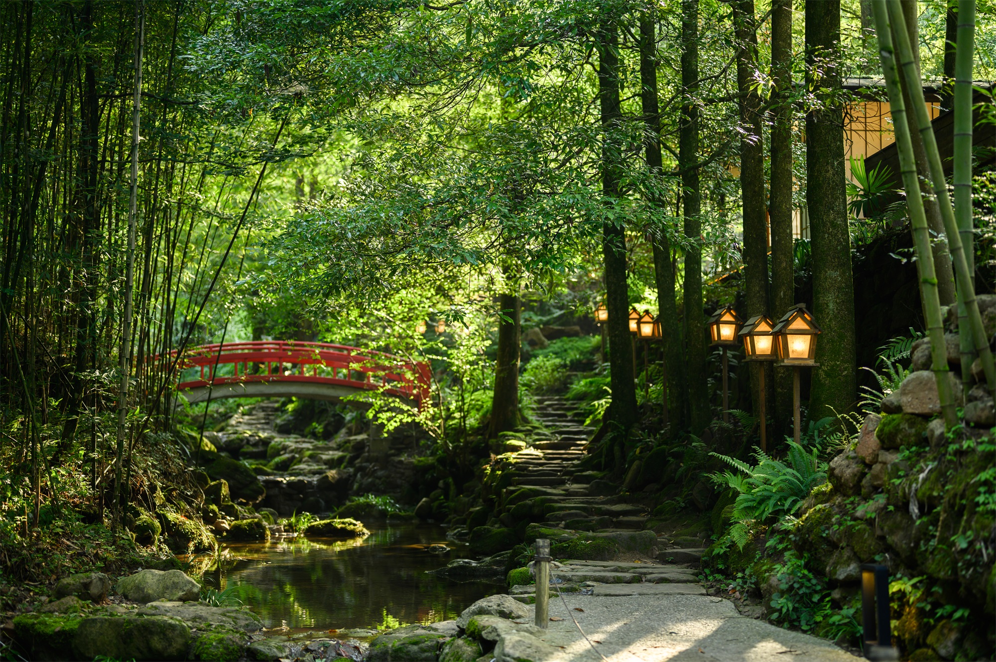 不宿·久之森林民宿丨中国成都丨予山景观,严焱,丁玉峰-13