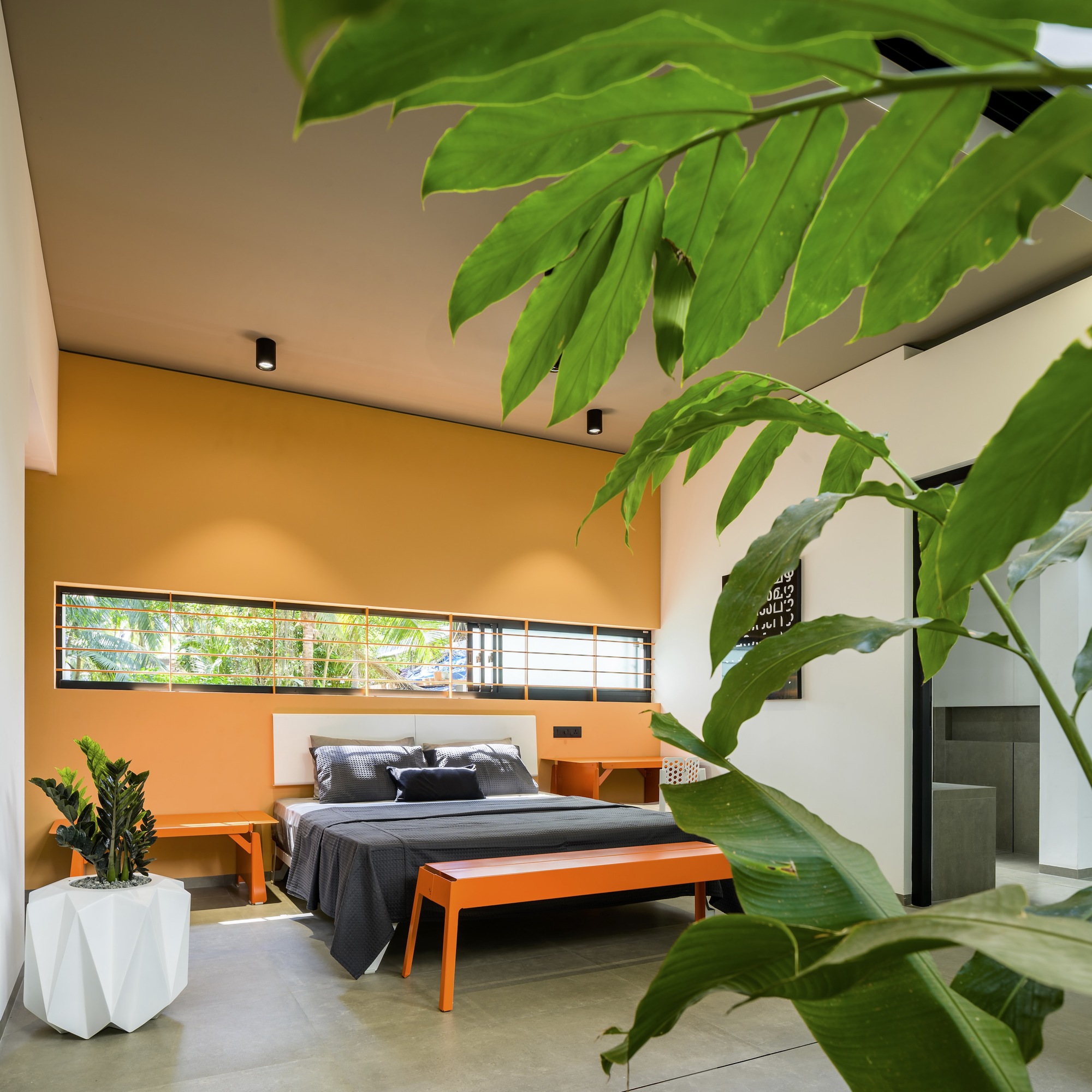 色彩爆发屋丨印度丨LIJO RENY architects-40