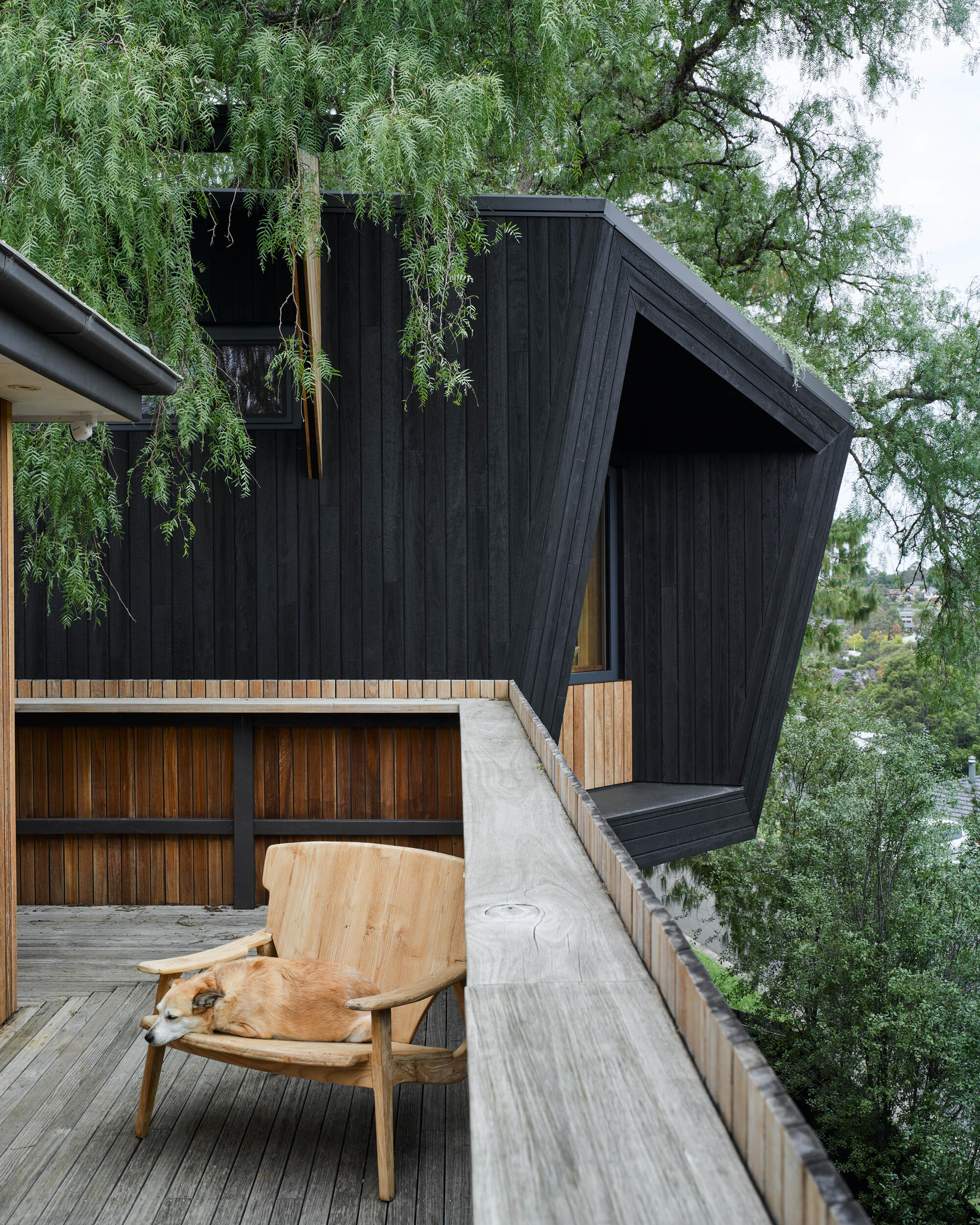 胡椒树被动式房屋丨澳大利亚丨Alexander Symes Architect-21