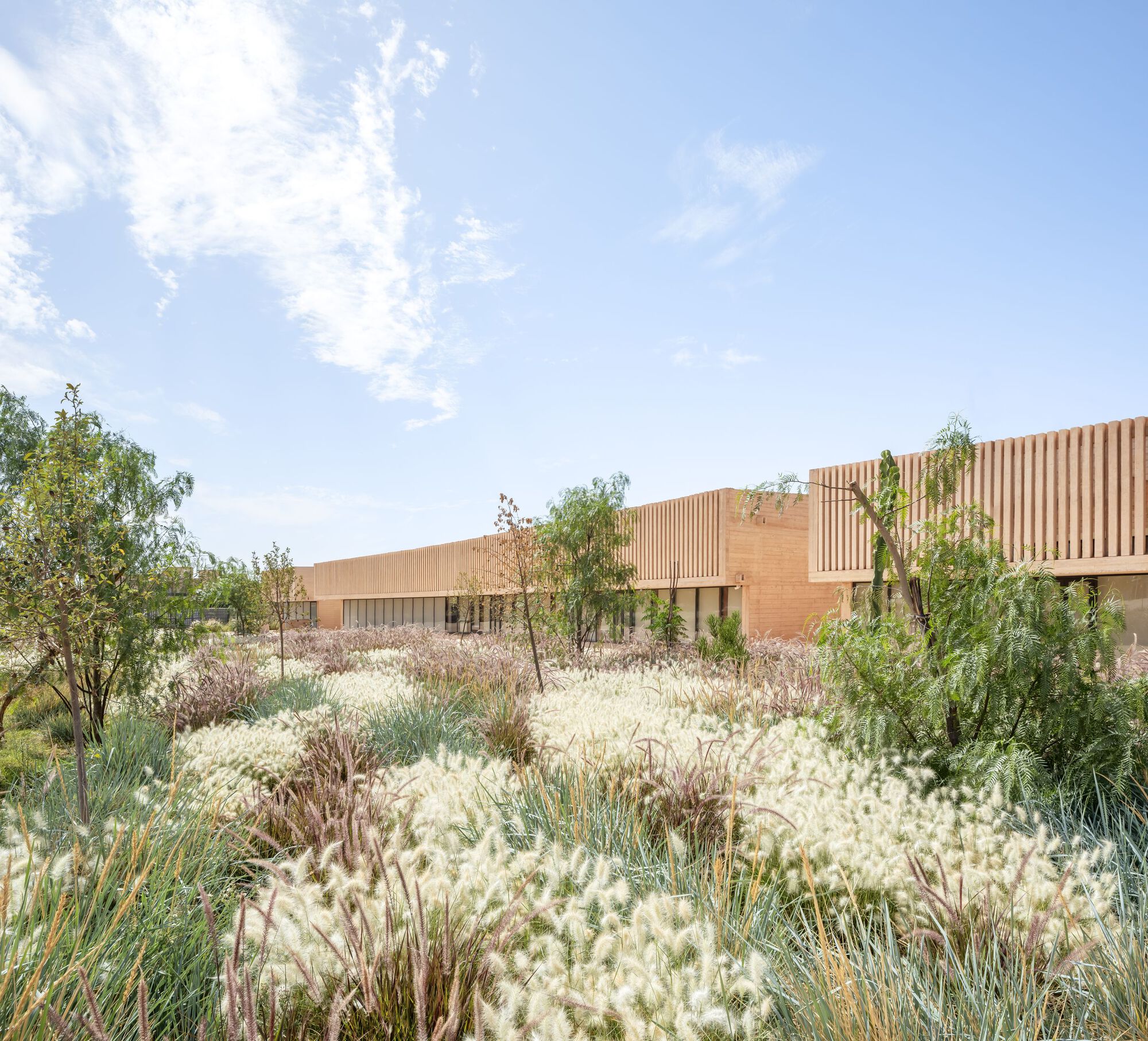 本古里尔体育校区丨摩洛哥丨OUALALOU+CHOI-12