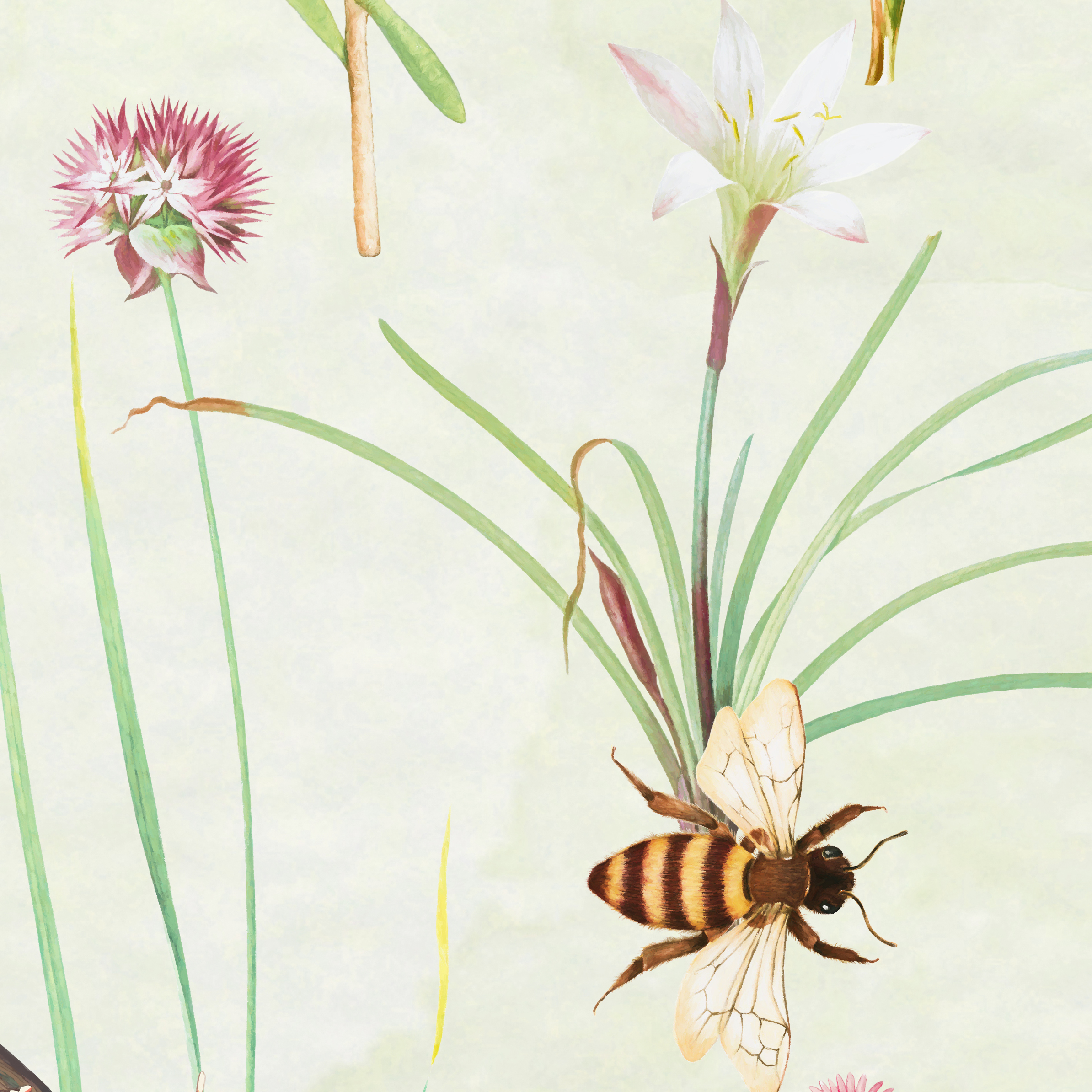 Wallpaper "Herbals and butterflies"-6