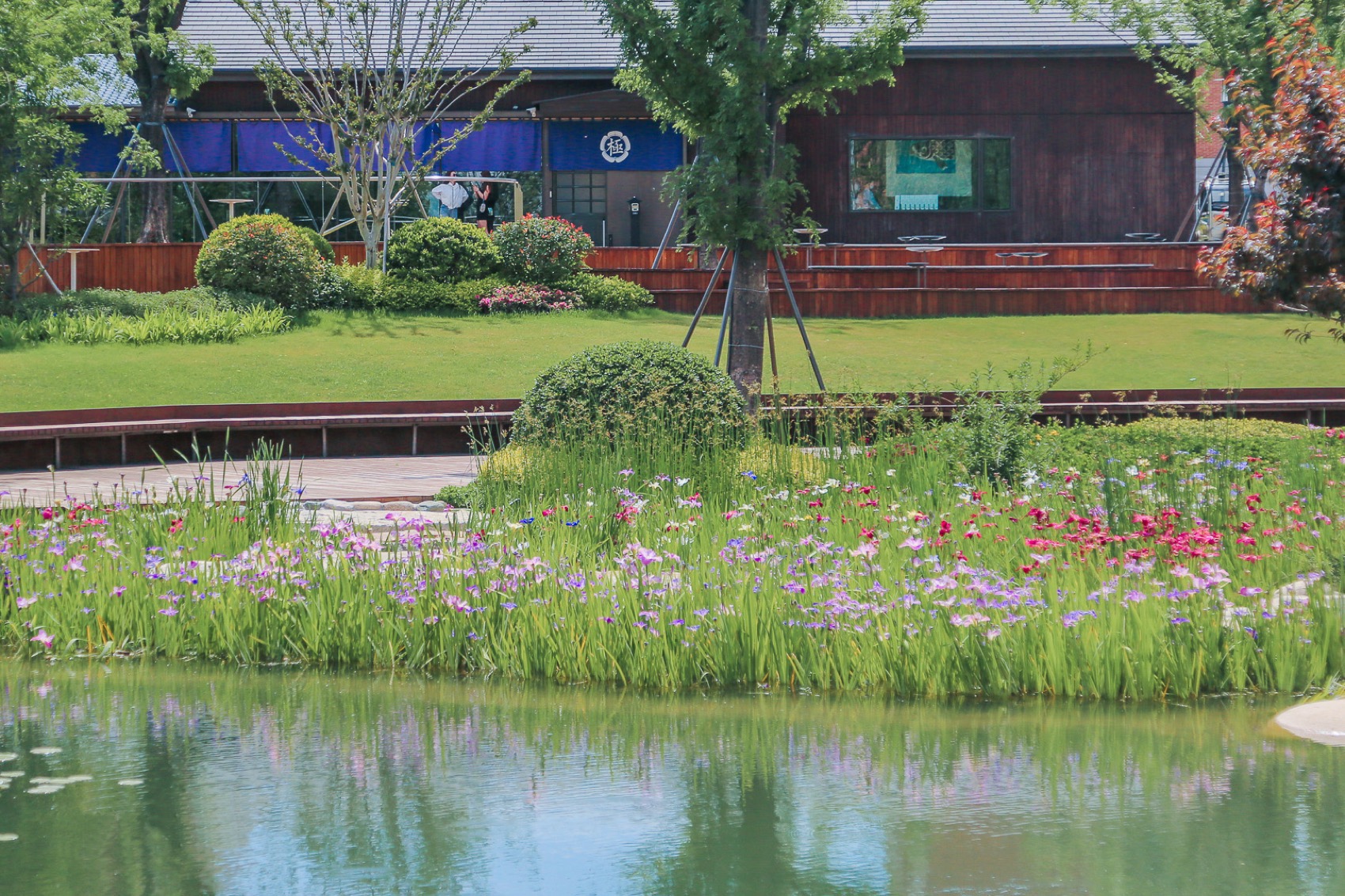 生态西川 · 郑州公园的绿色复兴丨中国郑州丨翰祥景观-117