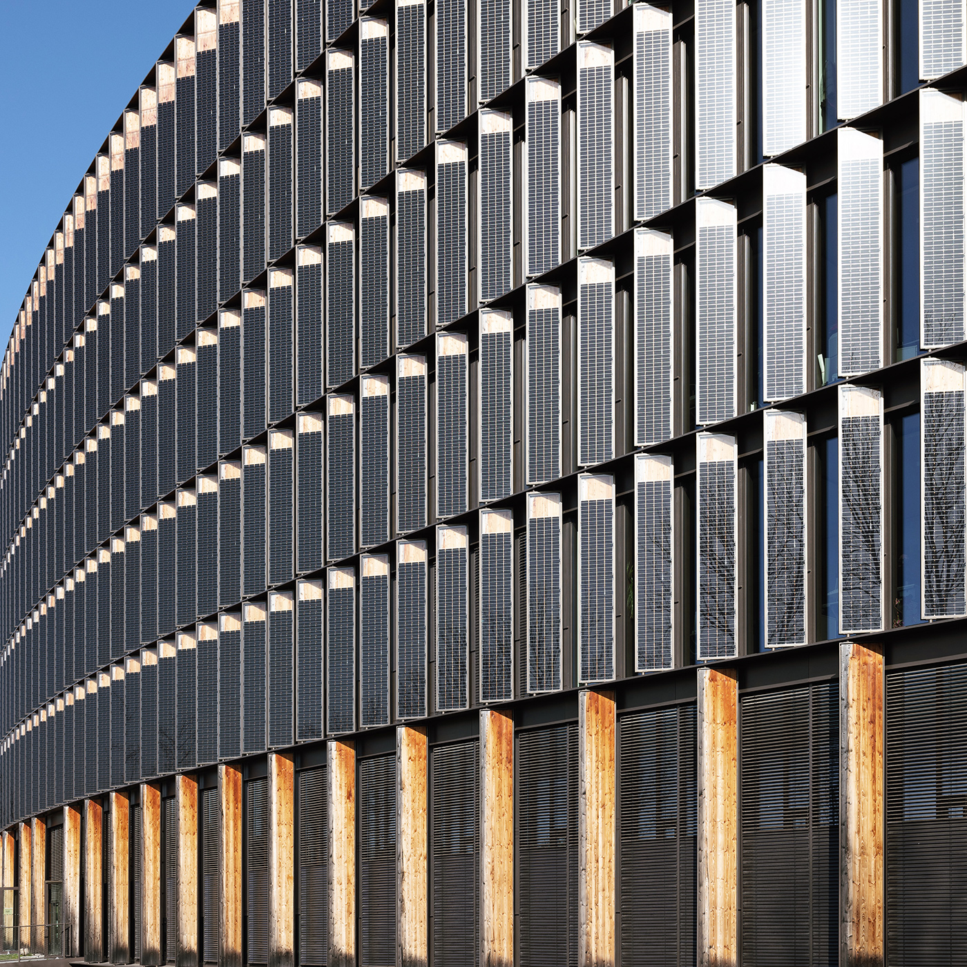 剧中人物八丨丹麦-14