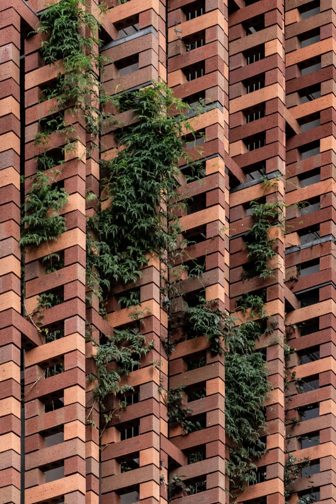 东京都千代田区万世桥办事处・区民馆丨日本东京丨株式会社日建设计-22