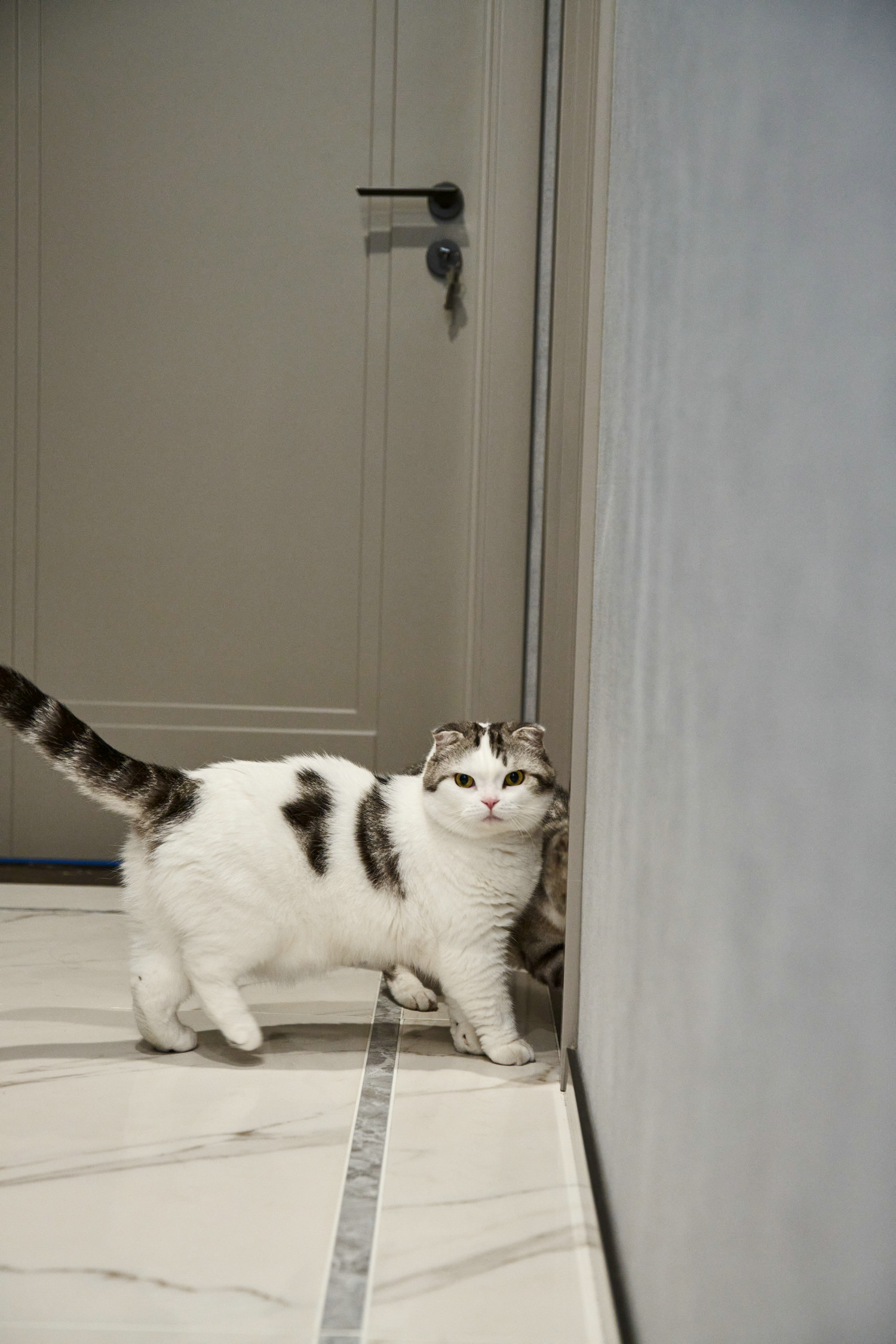 一屋两猫三餐四季丨中国杭州丨力设计-67