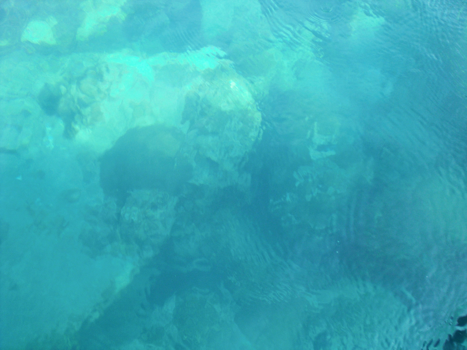 丨泰国丨Da Costa Mahindroo Architects-10