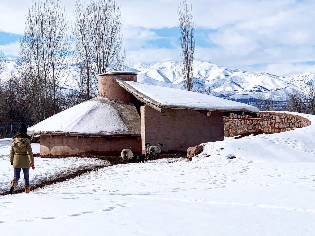 土耳其 Palanga Goat Shelter丨Erginoğlu & Çalışlar Architects-16
