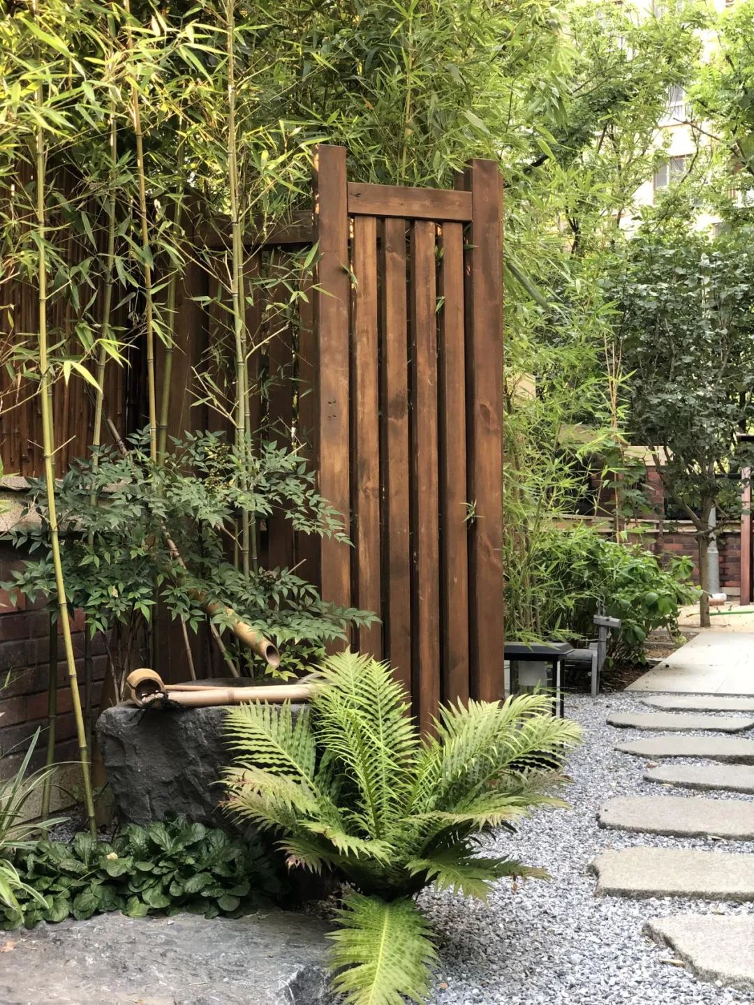 禅意花园里植物的那些事-113