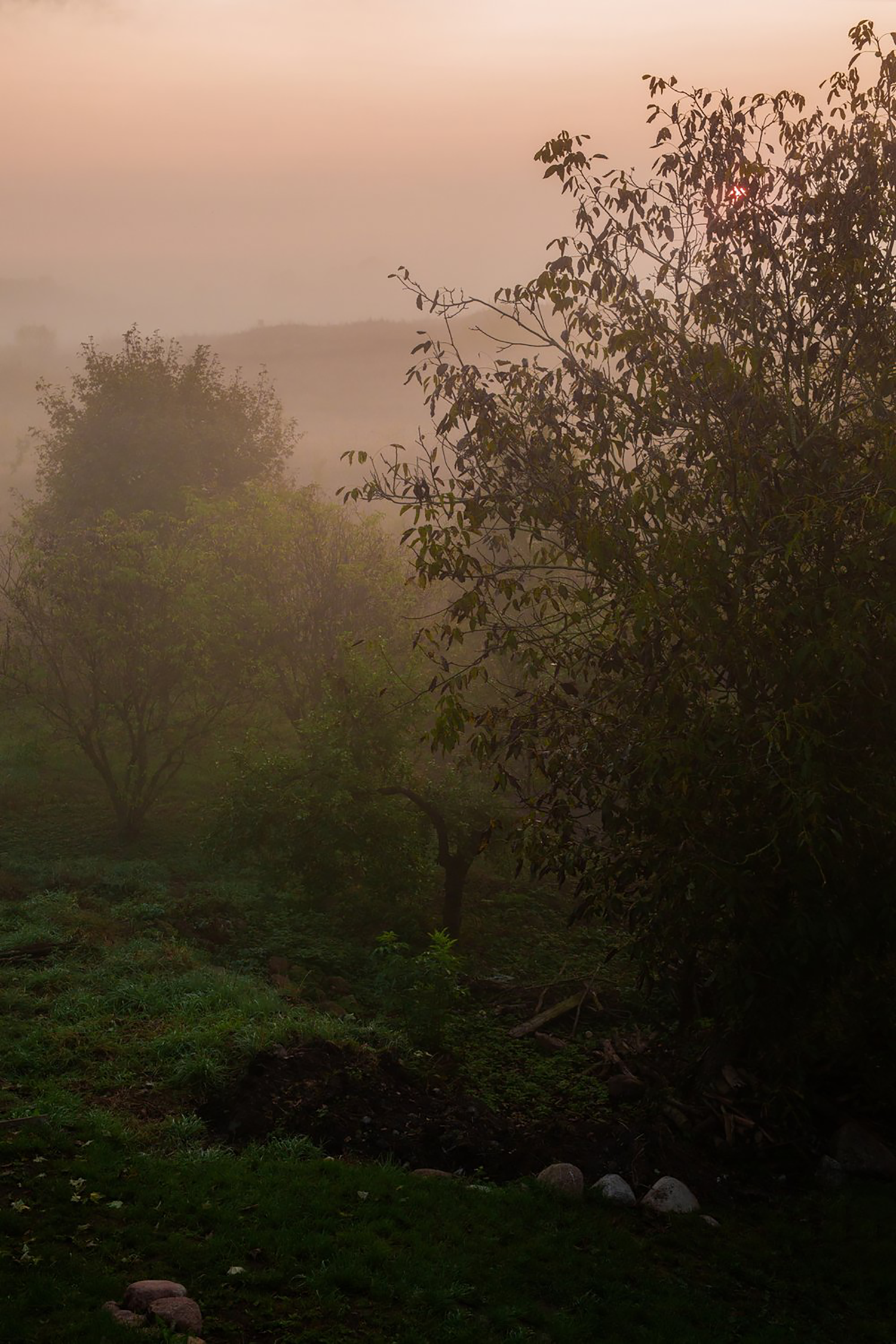 时间浸润的优雅-76