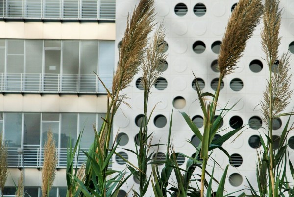 办公楼丨西班牙丨U3 estudio de arquitectura-71