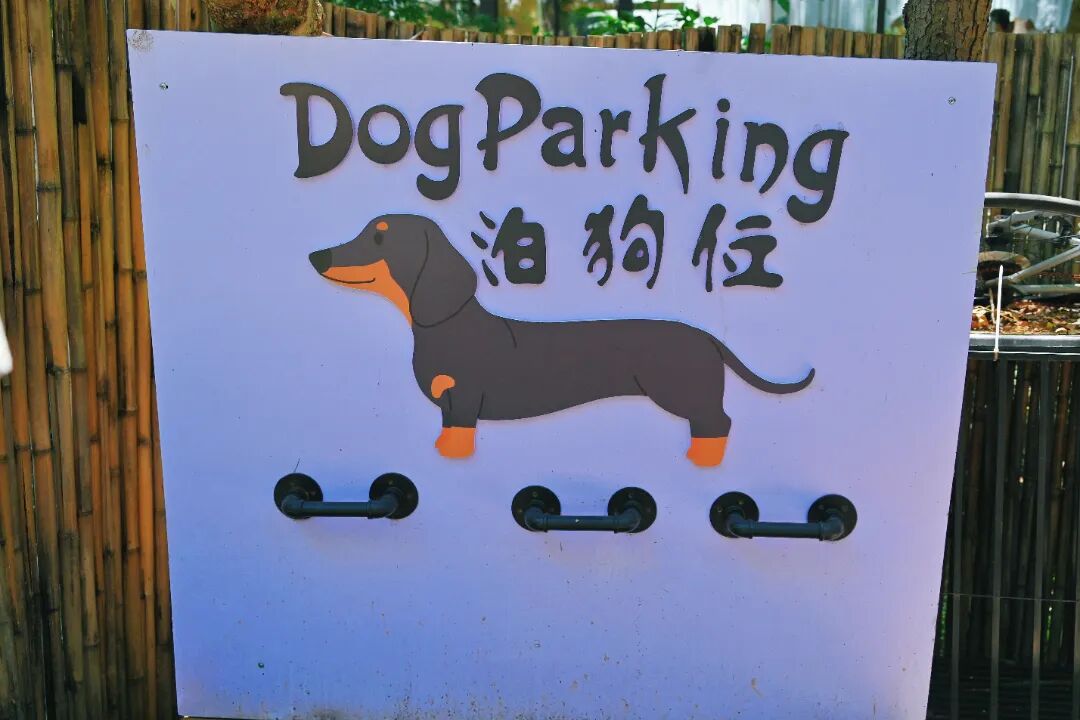 周末带娃撒欢，去旺山郊野公园觅野趣！-81